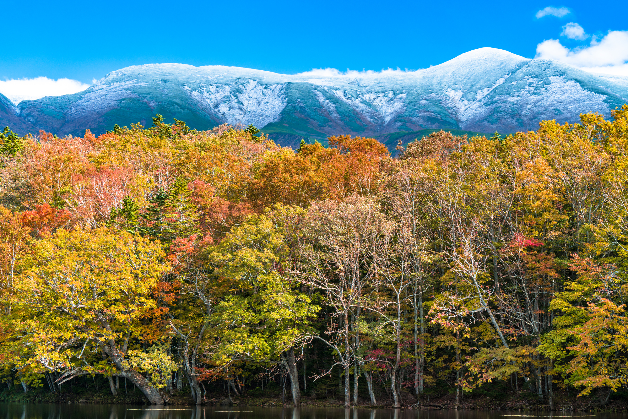 11月の国内一人旅は北海道がおすすめ 旅予約専門サイト そらトリップ